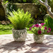 s-2-6-8-flower-power-planters-white-green-12