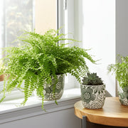 s-2-6-8-flower-power-planters-white-green-13