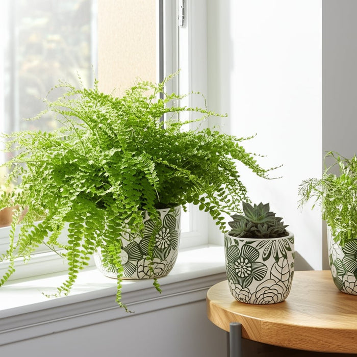 s-2-6-8-flower-power-planters-white-green-13