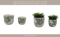 s-2-6-8-flower-power-planters-white-green-14