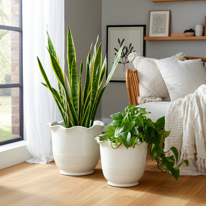 s-2-6-8-fluted-planters-ivory-11