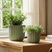 s-2-6-8-fluted-planters-sage-green-11