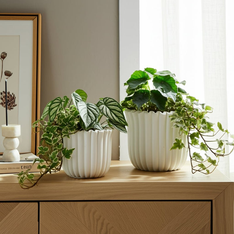 s-2-6-8-fluted-planters-white-11