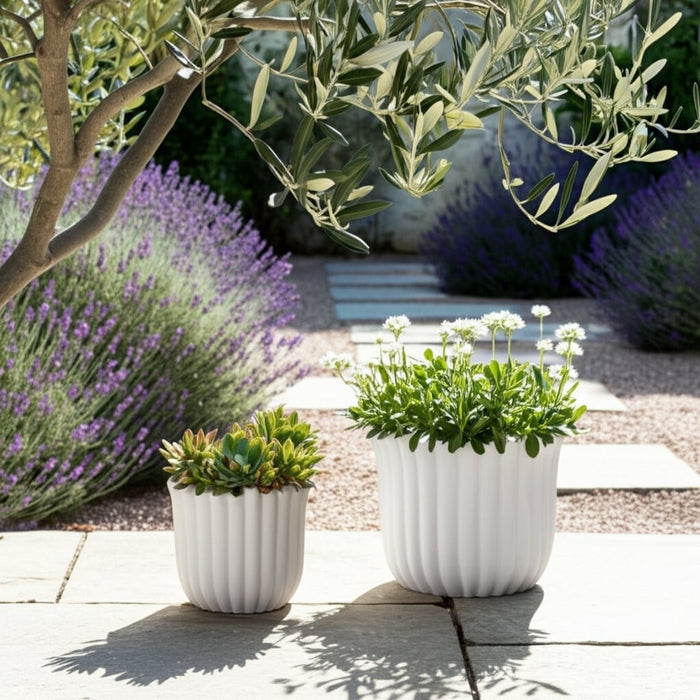 s-2-6-8-fluted-planters-white-12