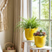 s-2-6-8-fluted-planters-yellow-10