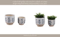 s-2-6-8-hand-painted-leaves-planters-white-blue-10