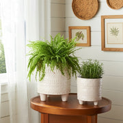 s-2-6-8-iridescent-boheme-footed-planters-ivory-10