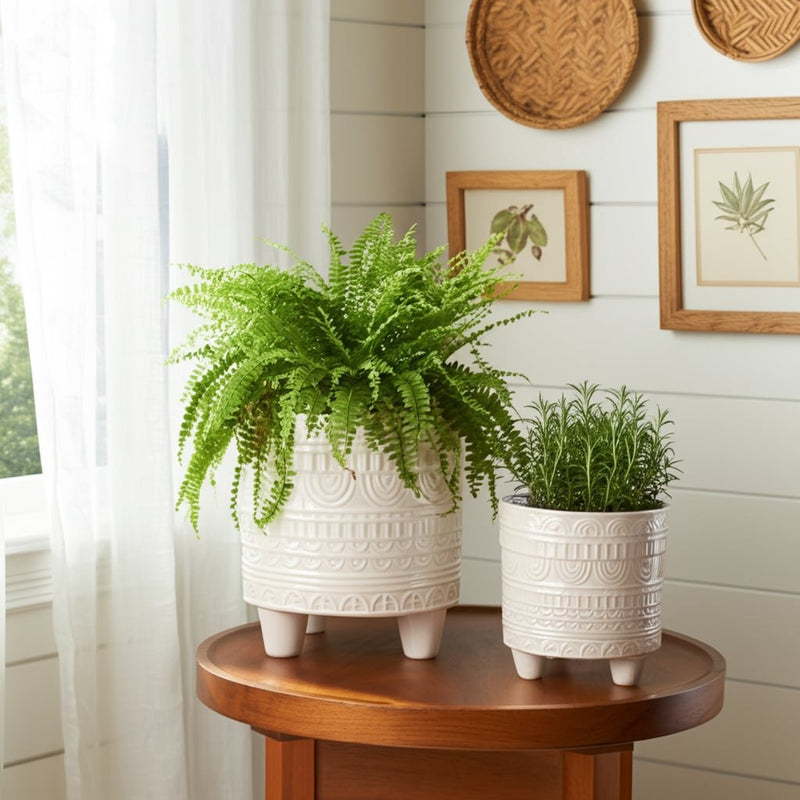 s-2-6-8-iridescent-boheme-footed-planters-ivory-10