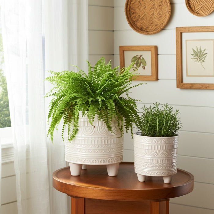 s-2-6-8-iridescent-boheme-footed-planters-ivory-10