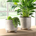s-2-6-8-iridescent-boheme-footed-planters-ivory-12
