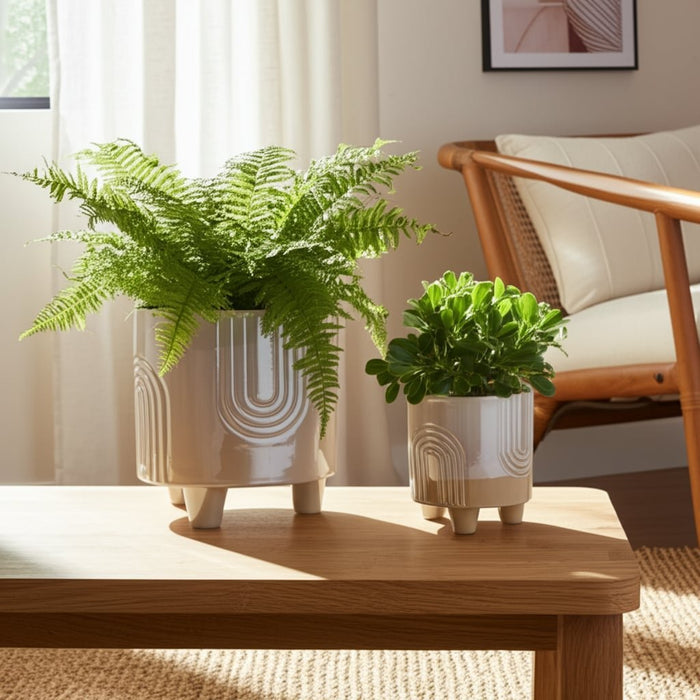 s-2-6-8-iridescent-bravais-footed-planters-ivory-10