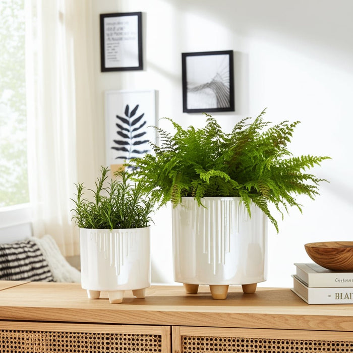 s-2-6-8-iridescent-line-footed-planters-ivory-10