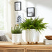 s-2-6-8-iridescent-line-footed-planters-ivory-10
