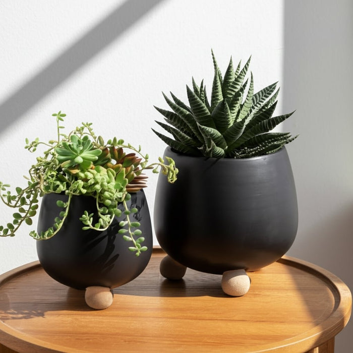 s-2-6-8-knobby-feet-planters-black-10