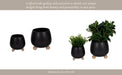s-2-6-8-knobby-feet-planters-black-11