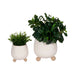 s-2-6-8-knobby-feet-planters-cream-2