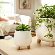 s-2-6-8-knobby-feet-planters-cream-9