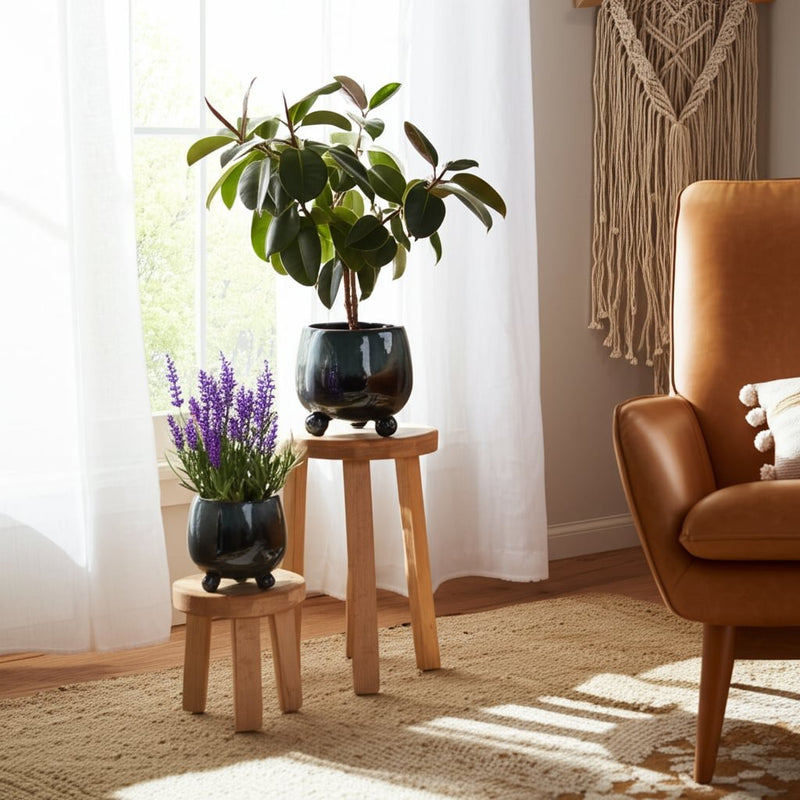 s-2-6-8-knobby-feet-reactive-finish-planters-blu-10