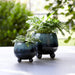 s-2-6-8-knobby-feet-reactive-finish-planters-blu-11