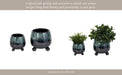 s-2-6-8-knobby-feet-reactive-finish-planters-blu-12