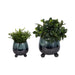 s-2-6-8-knobby-feet-reactive-finish-planters-blu-2
