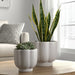 s-2-6-8-scallop-shaped-planters-white-9