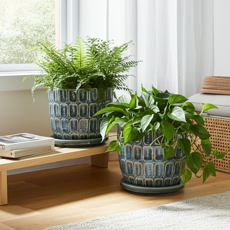 s-2-6-8-squoval-design-saucer-planters-blue-11