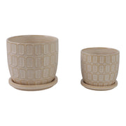 s-2-6-8-squoval-design-saucer-planters-ivory-1