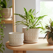 s-2-6-8-squoval-design-saucer-planters-ivory-10
