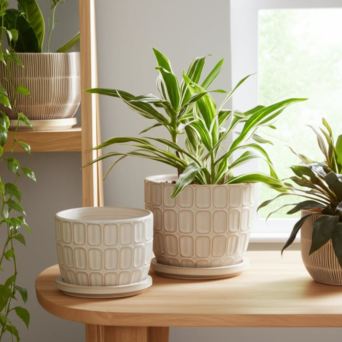 s-2-6-8-squoval-design-saucer-planters-ivory-10