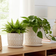 s-2-6-8-squoval-design-saucer-planters-ivory-11