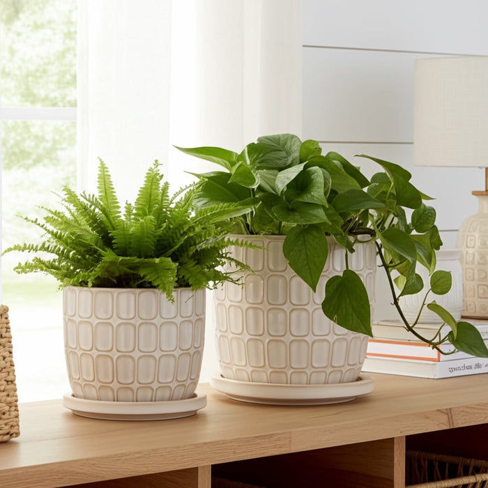 s-2-6-8-squoval-design-saucer-planters-ivory-11