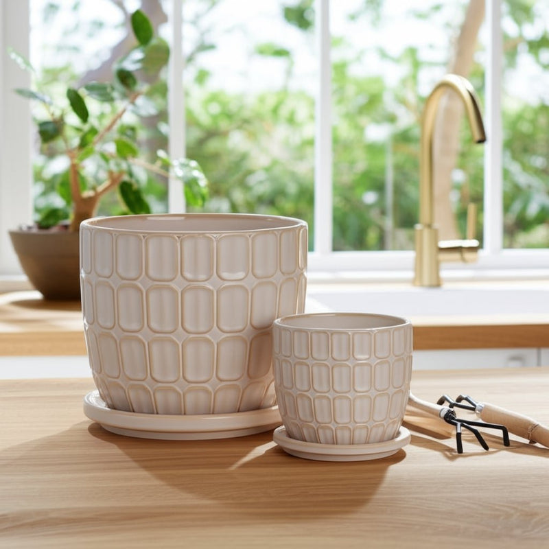 s-2-6-8-squoval-design-saucer-planters-ivory-12