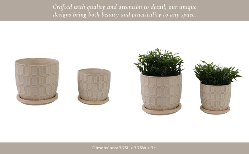 s-2-6-8-squoval-design-saucer-planters-ivory-13