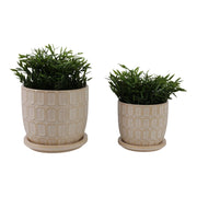 s-2-6-8-squoval-design-saucer-planters-ivory-2