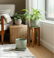 s-2-6-8-squoval-design-saucer-planters-sage-gree-10