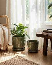 s-2-6-8-squoval-design-saucer-planters-sage-gree-11