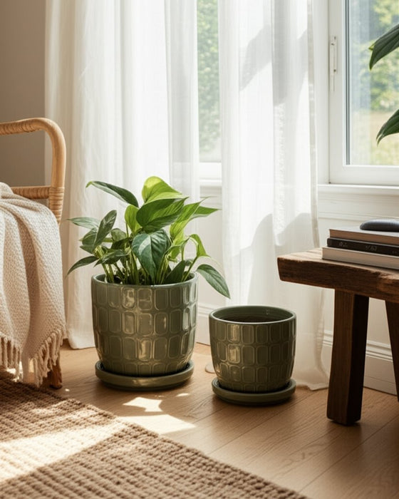 s-2-6-8-squoval-design-saucer-planters-sage-gree-11