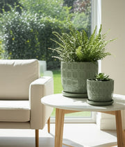 s-2-6-8-squoval-design-saucer-planters-sage-gree-12