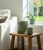 s-2-6-8-squoval-design-saucer-planters-sage-gree-13