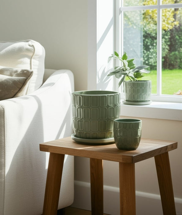 s-2-6-8-squoval-design-saucer-planters-sage-gree-13