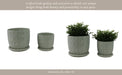 s-2-6-8-squoval-design-saucer-planters-sage-gree-14