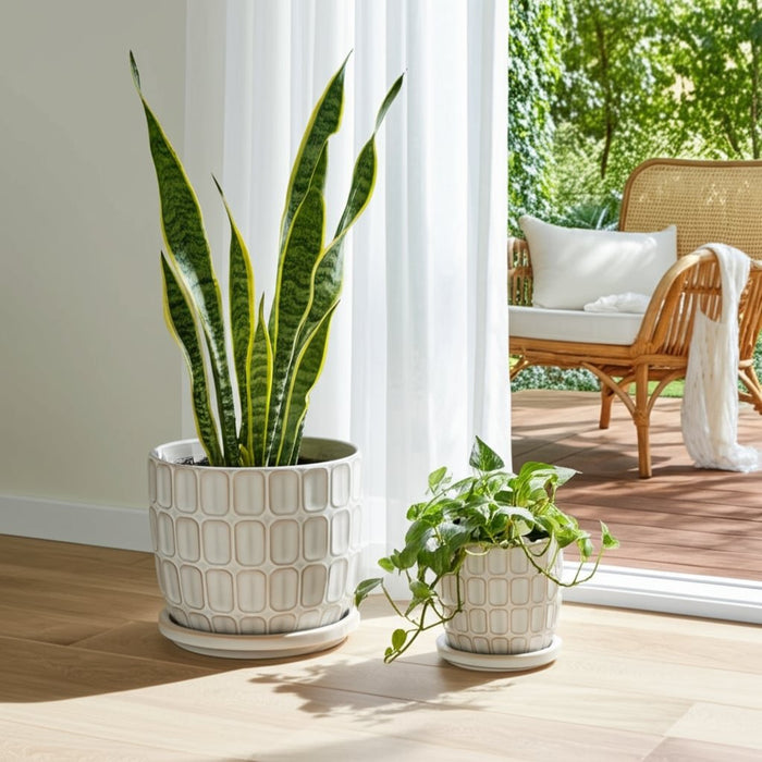 s-2-6-8-squoval-design-saucer-planters-white-10