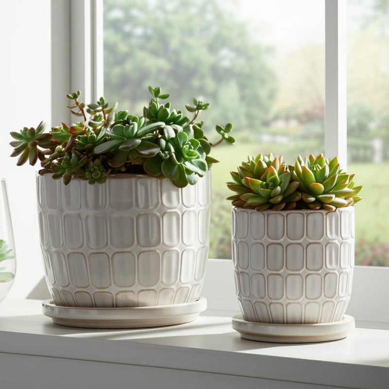 s-2-6-8-squoval-design-saucer-planters-white-11