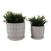 s-2-6-8-squoval-design-saucer-planters-white-2