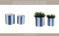 s-2-6-8-striped-scallop-edge-planters-white-blue-13