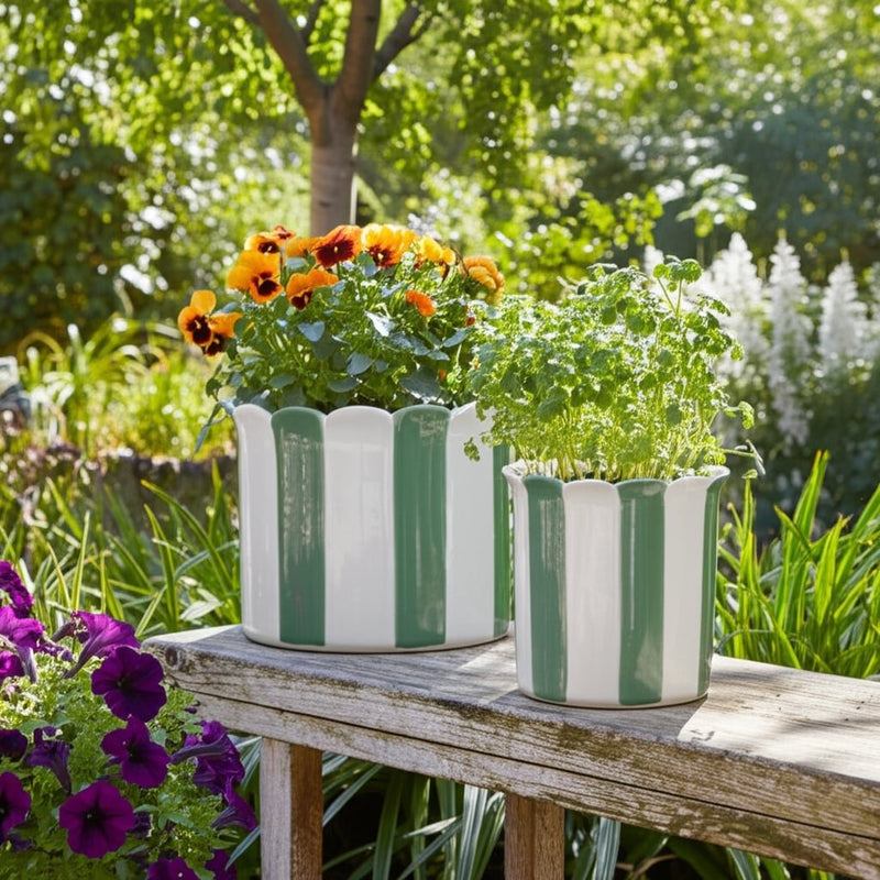 s-2-6-8-striped-scallop-edge-planters-white-gn-11