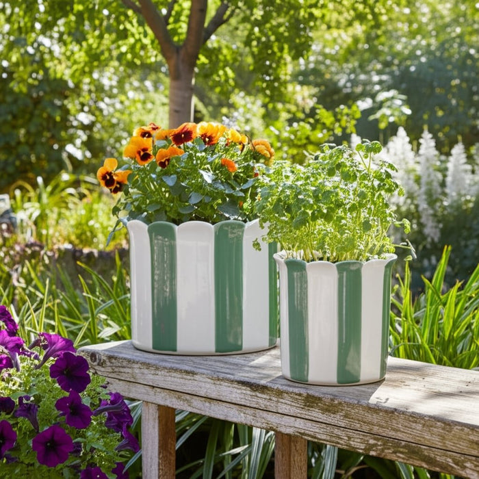 s-2-6-8-striped-scallop-edge-planters-white-gn-11