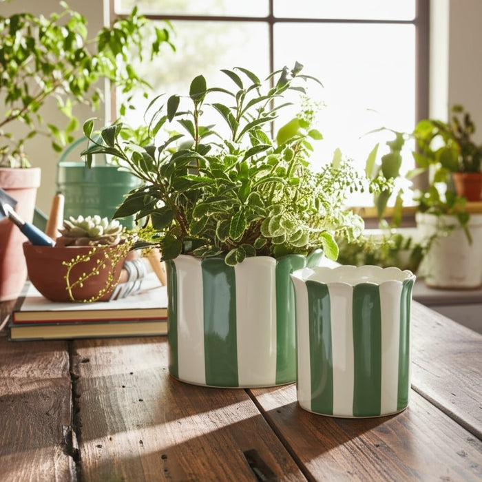 s-2-6-8-striped-scallop-edge-planters-white-gn-12