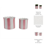 s-2-6-8-striped-scallop-edge-planters-white-pink-10
